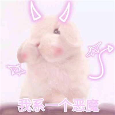 小兔子可爱超萌头像带字精选 萌萌哒小兔子你喜欢吗