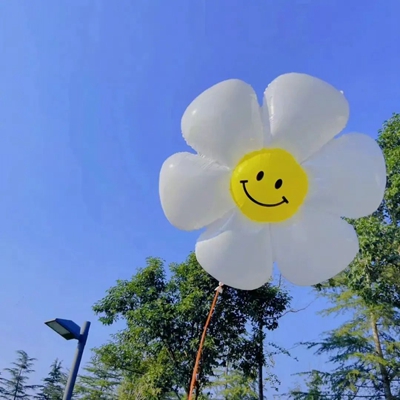 2023最新可爱花朵气球风景头像